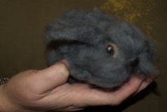 grey bunny4